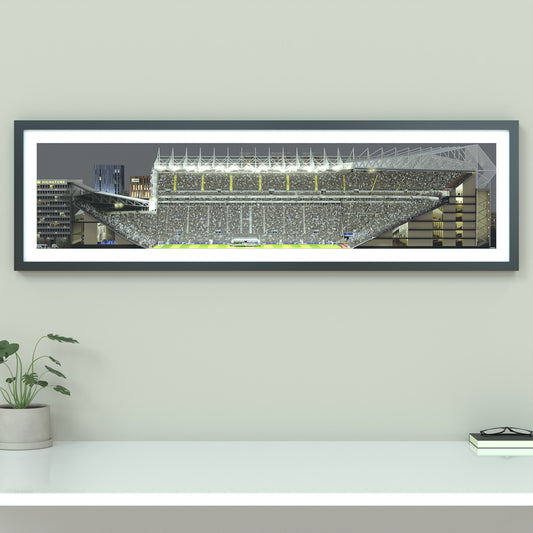 St James’ Park Stadium Panoramic Illustration Print